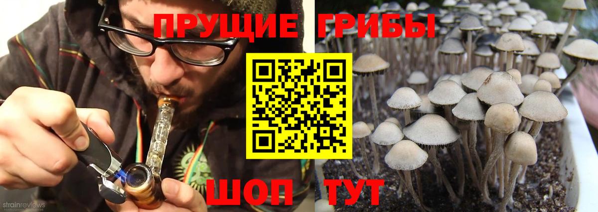 Галлюциногенные грибы Cubensis  Вход с VPN  Чернушка 
